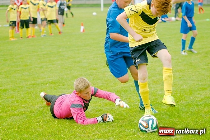 Zdjęcie w galerii na portalu naszraciborz.pl: Tworków Cup 2015: Wiele emocji i bramek w Tworkowie. MKS Żory z pucharem Wójta wiadomości z regionu