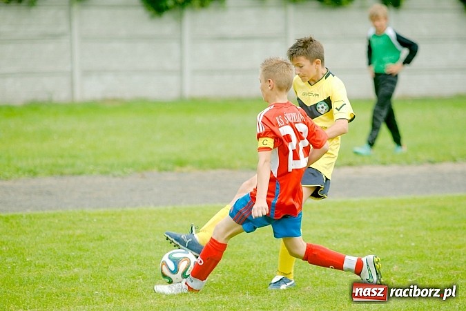Zdjęcie w galerii na portalu naszraciborz.pl: Tworków Cup 2015: Wiele emocji i bramek w Tworkowie. MKS Żory z pucharem Wójta wiadomości z regionu