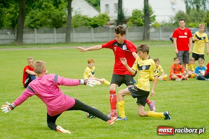 Zdjęcie w galerii na portalu naszraciborz.pl: Tworków Cup 2015: Wiele emocji i bramek w Tworkowie. MKS Żory z pucharem Wójta wiadomości z regionu