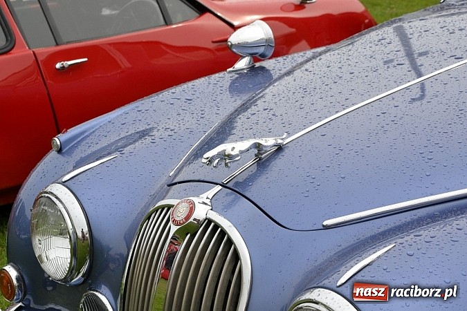 Zdjęcie w galerii na portalu naszraciborz.pl: Zabełków. Piękno starych samochodów  wiadomości z regionu