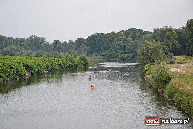 Zdjęcie w galerii na portalu naszraciborz.pl: Chałupki-Bogumin. Sezon kajakowy otwarty  wiadomości z regionu