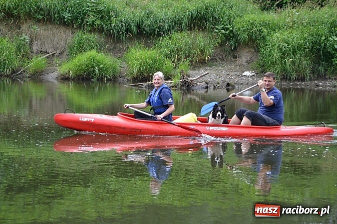 Zdjęcie w galerii na portalu naszraciborz.pl: Chałupki-Bogumin. Sezon kajakowy otwarty  wiadomości z regionu