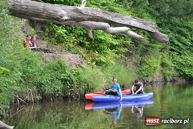 Zdjęcie w galerii na portalu naszraciborz.pl: Chałupki-Bogumin. Sezon kajakowy otwarty  wiadomości z regionu