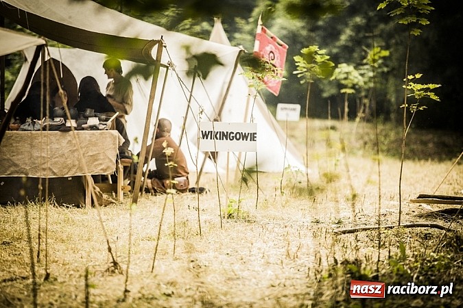 Zdjęcie w galerii na portalu naszraciborz.pl: Gród zamiast samej bramy. Inwestycja pod Oborą ma kosztować 200 tys. zł  wiadomości z regionu