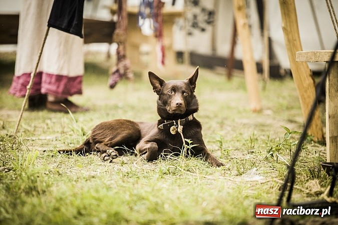 Zdjęcie w galerii na portalu naszraciborz.pl: Gród zamiast samej bramy. Inwestycja pod Oborą ma kosztować 200 tys. zł  wiadomości z regionu