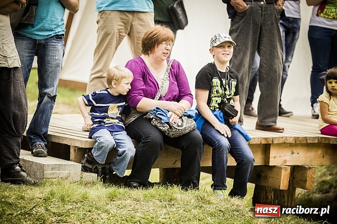 Zdjęcie w galerii na portalu naszraciborz.pl: Gród zamiast samej bramy. Inwestycja pod Oborą ma kosztować 200 tys. zł  wiadomości z regionu