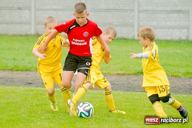 Zdjęcie w galerii na portalu naszraciborz.pl: Tworków Cup 2015: Deszczowy drugi dzień piłkarskich zmagań. Naprzód lepszy od Startu. Puchar pojechał do Rydułtów wiadomości z regionu