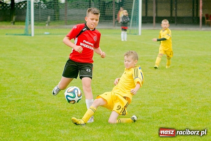 Zdjęcie w galerii na portalu naszraciborz.pl: Tworków Cup 2015: Deszczowy drugi dzień piłkarskich zmagań. Naprzód lepszy od Startu. Puchar pojechał do Rydułtów wiadomości z regionu