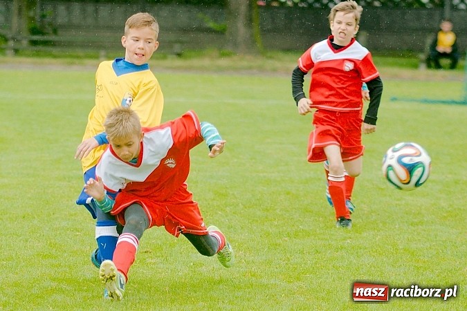 Zdjęcie w galerii na portalu naszraciborz.pl: Tworków Cup 2015: Deszczowy drugi dzień piłkarskich zmagań. Naprzód lepszy od Startu. Puchar pojechał do Rydułtów wiadomości z regionu