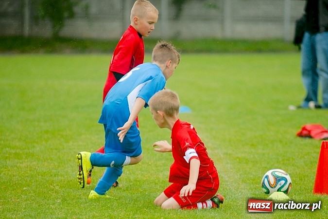 Zdjęcie w galerii na portalu naszraciborz.pl: Tworków Cup 2015: Deszczowy drugi dzień piłkarskich zmagań. Naprzód lepszy od Startu. Puchar pojechał do Rydułtów wiadomości z regionu