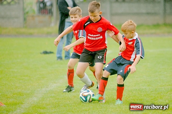 Zdjęcie w galerii na portalu naszraciborz.pl: Tworków Cup 2015: Deszczowy drugi dzień piłkarskich zmagań. Naprzód lepszy od Startu. Puchar pojechał do Rydułtów wiadomości z regionu