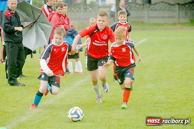 Zdjęcie w galerii na portalu naszraciborz.pl: Tworków Cup 2015: Deszczowy drugi dzień piłkarskich zmagań. Naprzód lepszy od Startu. Puchar pojechał do Rydułtów wiadomości z regionu