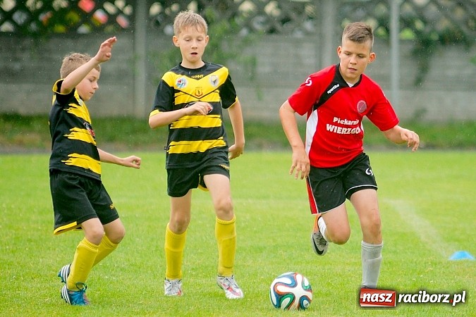Zdjęcie w galerii na portalu naszraciborz.pl: Tworków Cup 2015: Deszczowy drugi dzień piłkarskich zmagań. Naprzód lepszy od Startu. Puchar pojechał do Rydułtów wiadomości z regionu