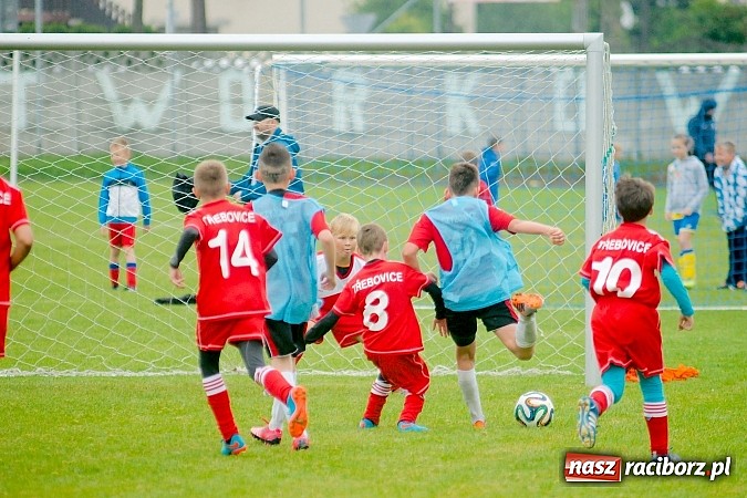 Zdjęcie w galerii na portalu naszraciborz.pl: Tworków Cup 2015: Deszczowy drugi dzień piłkarskich zmagań. Naprzód lepszy od Startu. Puchar pojechał do Rydułtów wiadomości z regionu