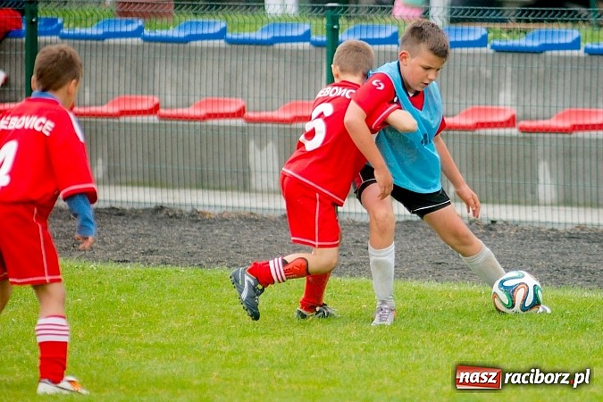 Zdjęcie w galerii na portalu naszraciborz.pl: Tworków Cup 2015: Deszczowy drugi dzień piłkarskich zmagań. Naprzód lepszy od Startu. Puchar pojechał do Rydułtów wiadomości z regionu