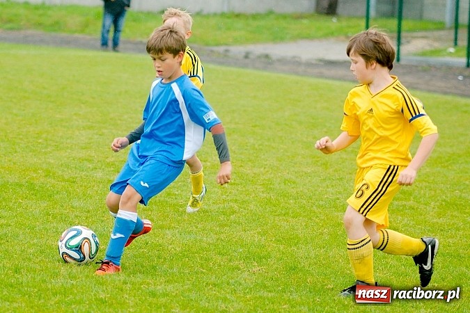 Zdjęcie w galerii na portalu naszraciborz.pl: Tworków Cup 2015: Deszczowy drugi dzień piłkarskich zmagań. Naprzód lepszy od Startu. Puchar pojechał do Rydułtów wiadomości z regionu