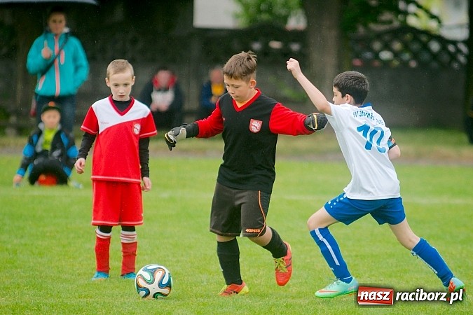 Zdjęcie w galerii na portalu naszraciborz.pl: Tworków Cup 2015: Deszczowy drugi dzień piłkarskich zmagań. Naprzód lepszy od Startu. Puchar pojechał do Rydułtów wiadomości z regionu