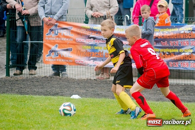 Zdjęcie w galerii na portalu naszraciborz.pl: Tworków Cup 2015: Deszczowy drugi dzień piłkarskich zmagań. Naprzód lepszy od Startu. Puchar pojechał do Rydułtów wiadomości z regionu