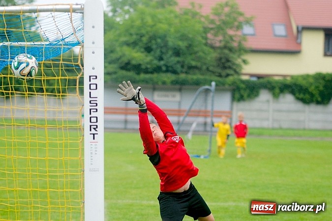 Zdjęcie w galerii na portalu naszraciborz.pl: Tworków Cup 2015: Deszczowy drugi dzień piłkarskich zmagań. Naprzód lepszy od Startu. Puchar pojechał do Rydułtów wiadomości z regionu