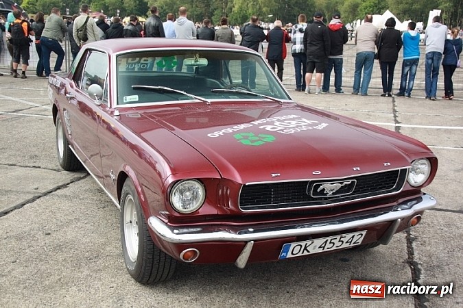 Zdjęcie w galerii na portalu naszraciborz.pl: Rafał Pasierbek na Automaster Show 2015  wiadomości z regionu