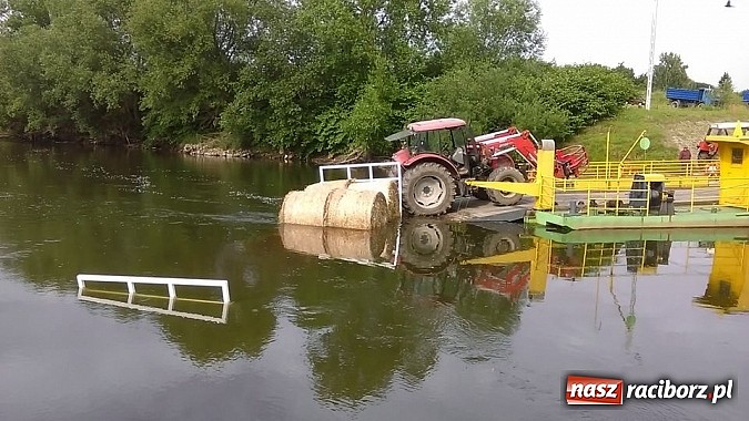 Zdjęcie w galerii na portalu naszraciborz.pl: Prom odpłynął, przyczepa zatonęła, bele spłynęły wiadomości z regionu