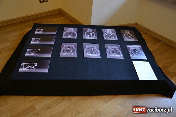 Zdjęcie w galerii na portalu naszraciborz.pl: Studenci Instytutu Sztuki bronili się na Zamku Piastowskim  wiadomości z regionu