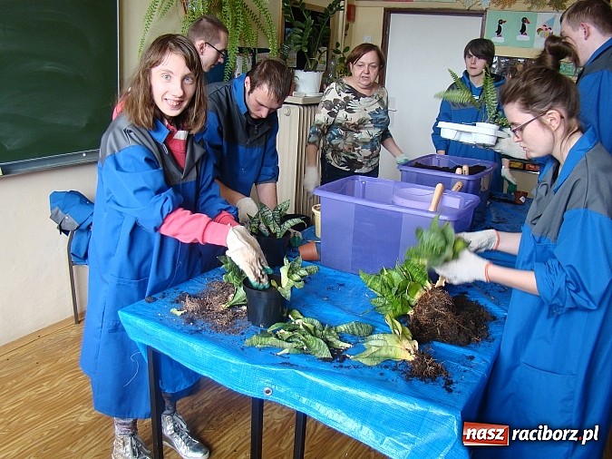 Zdjęcie w galerii na portalu naszraciborz.pl: ZSS podsumował projekt Moja szansa na sukces  wiadomości z regionu