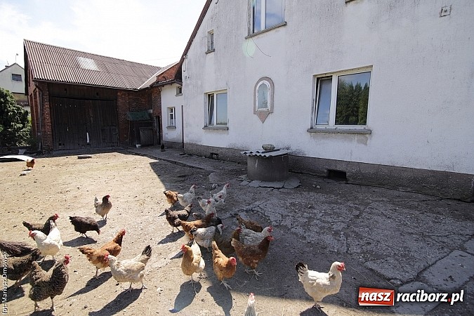 Zdjęcie w galerii na portalu naszraciborz.pl: Stare Nieboczowy, jak to miejsce wygląda dziś? wiadomości z regionu