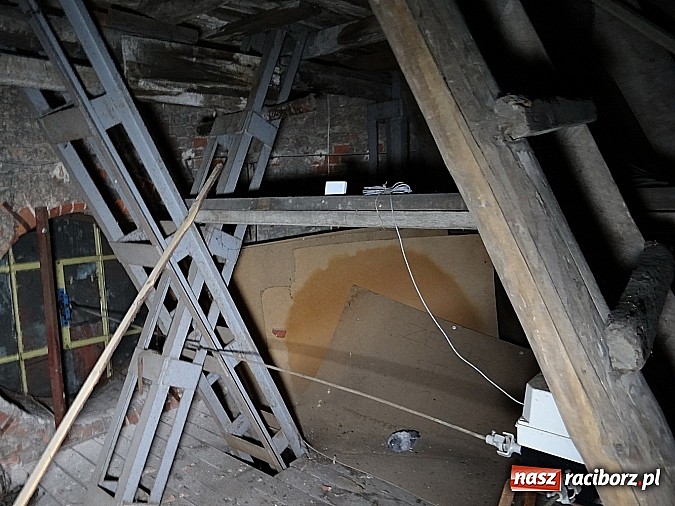 Zdjęcie w galerii na portalu naszraciborz.pl: Racibórz widziany z wieży kościoła farnego wiadomości z regionu