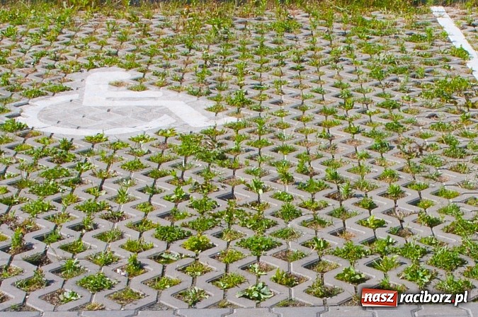 Zdjęcie w galerii na portalu naszraciborz.pl: Parking dla niepełnosprawnych, ale nie dla ich wózków wiadomości z regionu