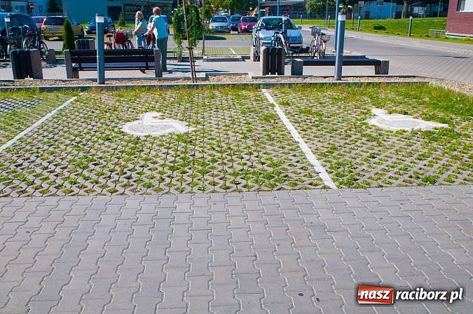 Zdjęcie w galerii na portalu naszraciborz.pl: Parking dla niepełnosprawnych, ale nie dla ich wózków wiadomości z regionu
