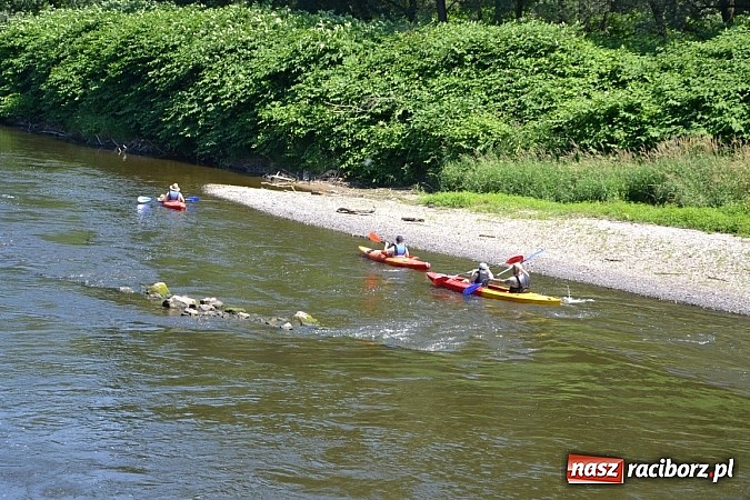Zdjęcie w galerii na portalu naszraciborz.pl: Meander Orient Express - edycja 2015 wiadomości z regionu