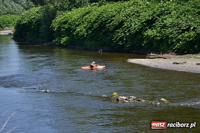 Zdjęcie w galerii na portalu naszraciborz.pl: Meander Orient Express - edycja 2015 wiadomości z regionu