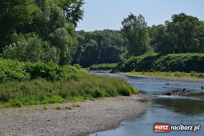 Zdjęcie w galerii na portalu naszraciborz.pl: Meander Orient Express - edycja 2015 wiadomości z regionu