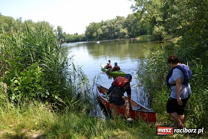 Zdjęcie w galerii na portalu naszraciborz.pl: Meander Orient Express - edycja 2015 wiadomości z regionu