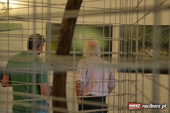 Zdjęcie w galerii na portalu naszraciborz.pl: Polsko-niemiecko-francuska ekspozycja otwarta - wernisaż wystawy na zamku  wiadomości z regionu