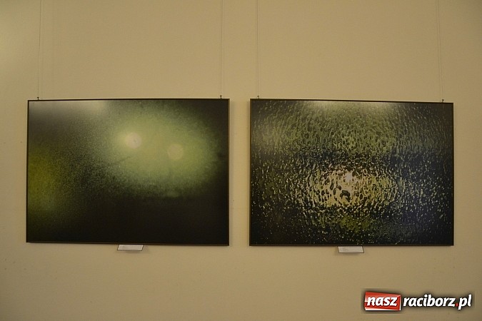 Zdjęcie w galerii na portalu naszraciborz.pl: Polsko-niemiecko-francuska ekspozycja otwarta - wernisaż wystawy na zamku  wiadomości z regionu