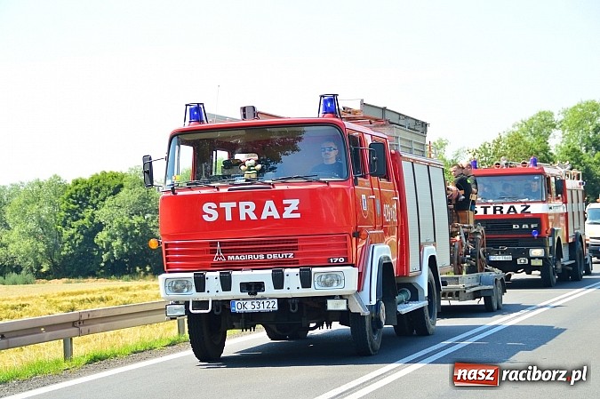 Zdjęcie w galerii na portalu naszraciborz.pl: Przewóz i Zabełków triumfował na Zawodach Sikawek Konnych w Bieńkowicach wiadomości z regionu