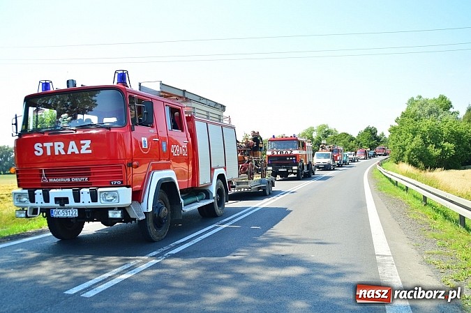 Zdjęcie w galerii na portalu naszraciborz.pl: Przewóz i Zabełków triumfował na Zawodach Sikawek Konnych w Bieńkowicach wiadomości z regionu