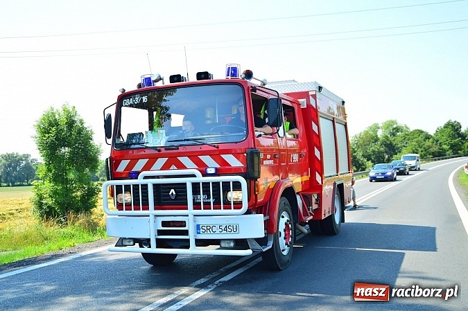 Zdjęcie w galerii na portalu naszraciborz.pl: Przewóz i Zabełków triumfował na Zawodach Sikawek Konnych w Bieńkowicach wiadomości z regionu