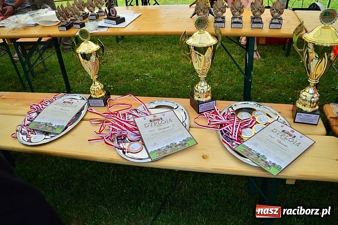 Zdjęcie w galerii na portalu naszraciborz.pl: Przewóz i Zabełków triumfował na Zawodach Sikawek Konnych w Bieńkowicach wiadomości z regionu