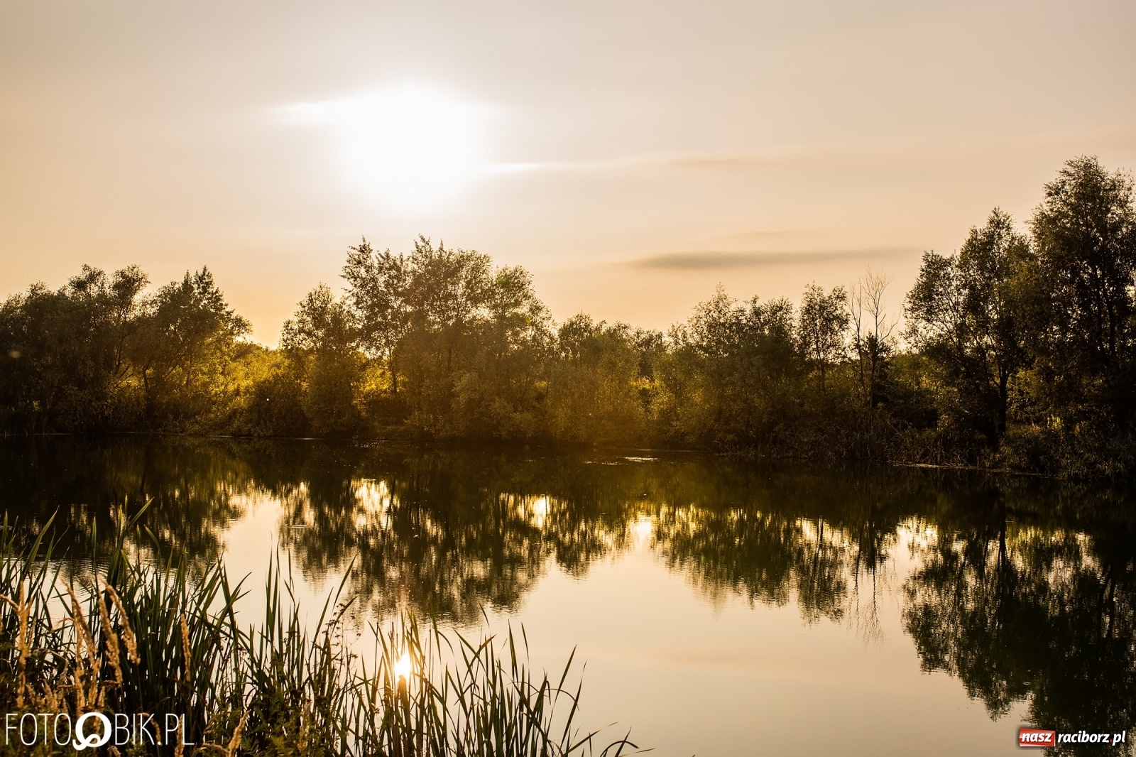 Zdjęcie w galerii na portalu naszraciborz.pl: Dziesięć lat temu powstał projekt zagospodarowania żwirowni na Ostrogu. Kosztem 23 mln zł miało tu powstać raciborskie Acapulco. Zobacz wizualizacje sprzed dekady wiadomości z regionu