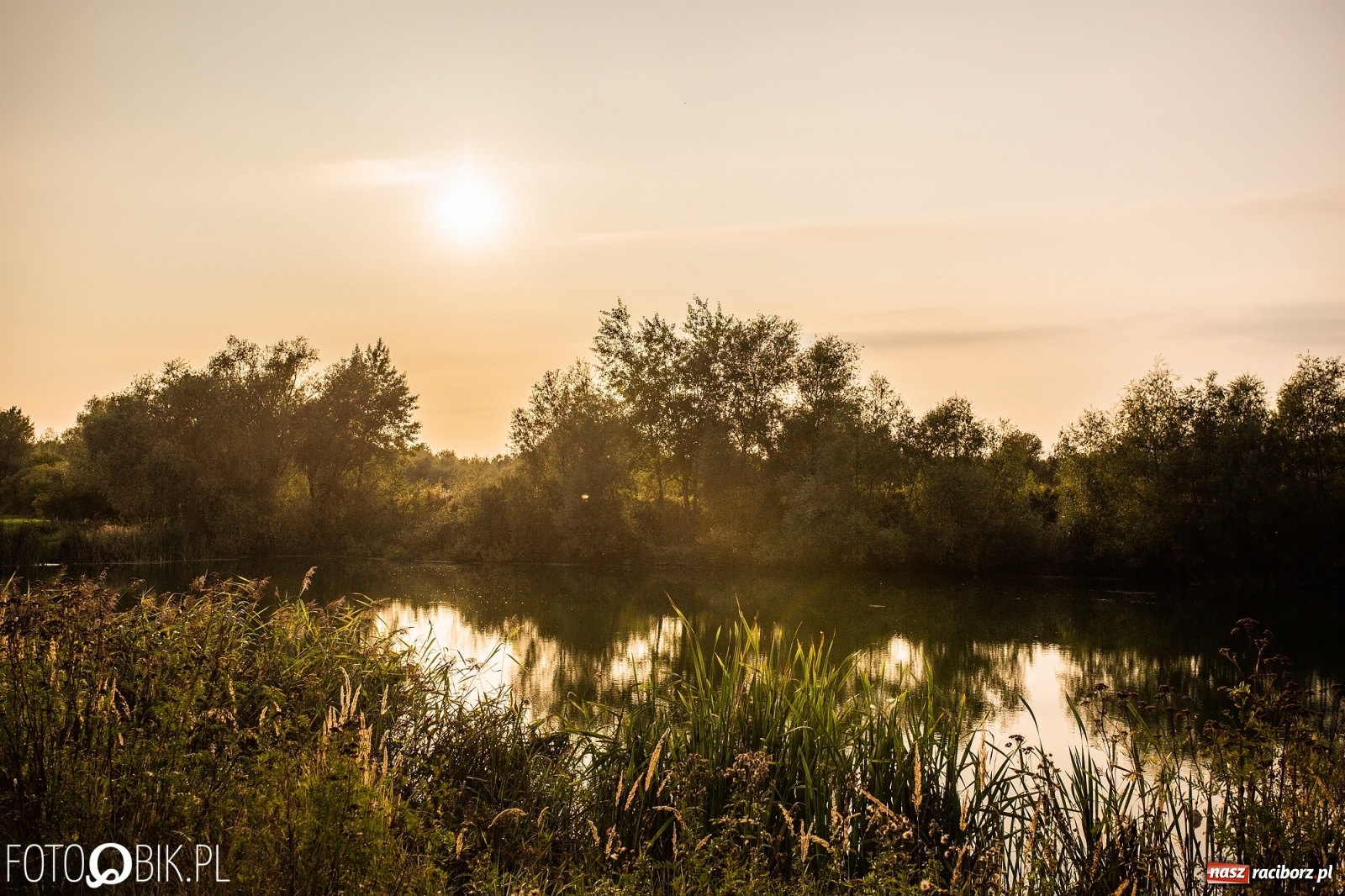 Zdjęcie w galerii na portalu naszraciborz.pl: Dziesięć lat temu powstał projekt zagospodarowania żwirowni na Ostrogu. Kosztem 23 mln zł miało tu powstać raciborskie Acapulco. Zobacz wizualizacje sprzed dekady wiadomości z regionu