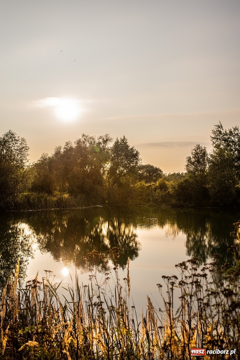 Zdjęcie w galerii na portalu naszraciborz.pl: Dziesięć lat temu powstał projekt zagospodarowania żwirowni na Ostrogu. Kosztem 23 mln zł miało tu powstać raciborskie Acapulco. Zobacz wizualizacje sprzed dekady wiadomości z regionu