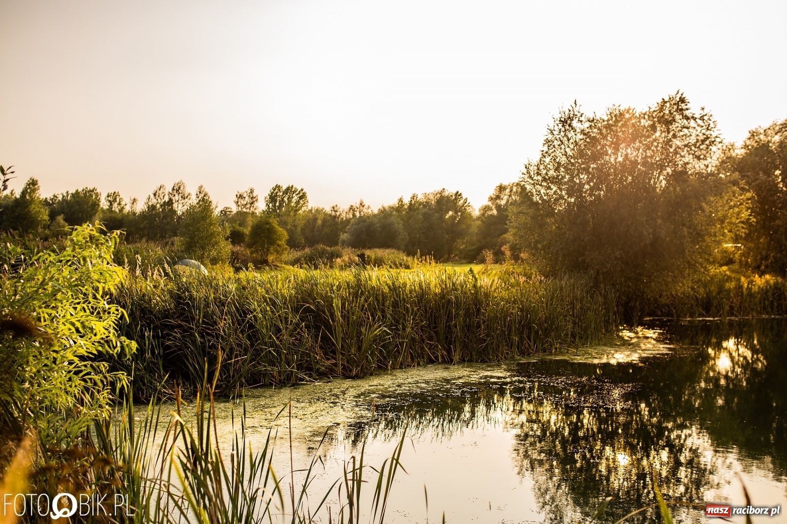 Zdjęcie w galerii na portalu naszraciborz.pl: Dziesięć lat temu powstał projekt zagospodarowania żwirowni na Ostrogu. Kosztem 23 mln zł miało tu powstać raciborskie Acapulco. Zobacz wizualizacje sprzed dekady wiadomości z regionu