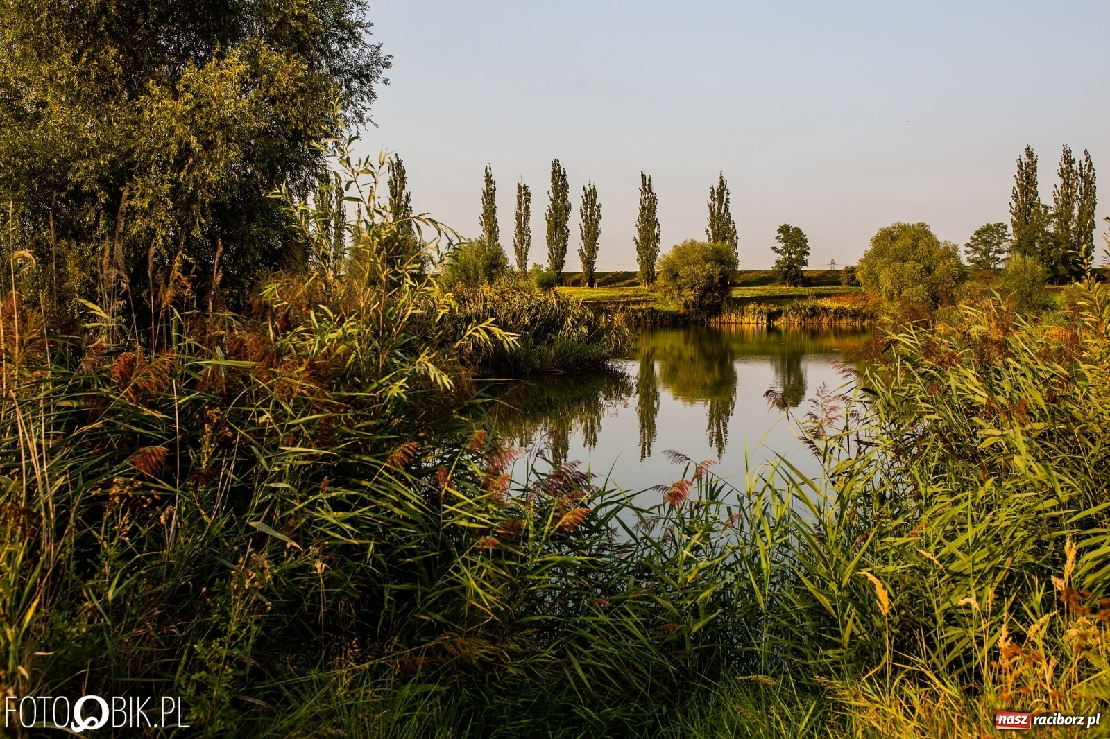 Zdjęcie w galerii na portalu naszraciborz.pl: Dziesięć lat temu powstał projekt zagospodarowania żwirowni na Ostrogu. Kosztem 23 mln zł miało tu powstać raciborskie Acapulco. Zobacz wizualizacje sprzed dekady wiadomości z regionu
