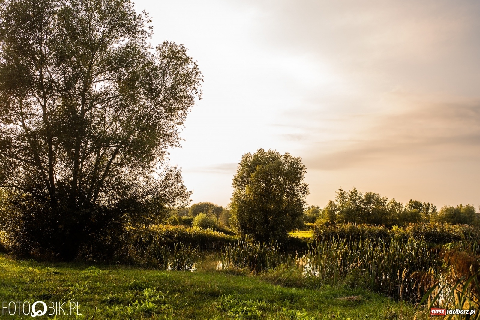 Zdjęcie w galerii na portalu naszraciborz.pl: Dziesięć lat temu powstał projekt zagospodarowania żwirowni na Ostrogu. Kosztem 23 mln zł miało tu powstać raciborskie Acapulco. Zobacz wizualizacje sprzed dekady wiadomości z regionu
