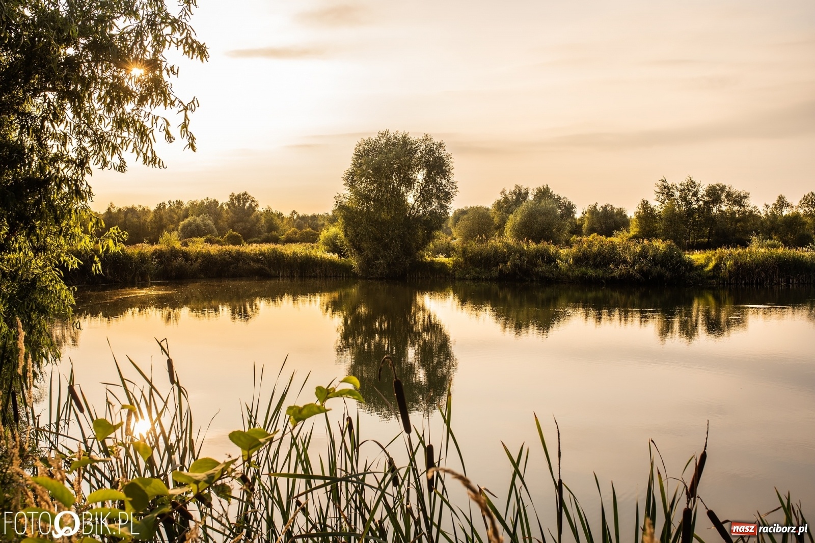 Zdjęcie w galerii na portalu naszraciborz.pl: Dziesięć lat temu powstał projekt zagospodarowania żwirowni na Ostrogu. Kosztem 23 mln zł miało tu powstać raciborskie Acapulco. Zobacz wizualizacje sprzed dekady wiadomości z regionu