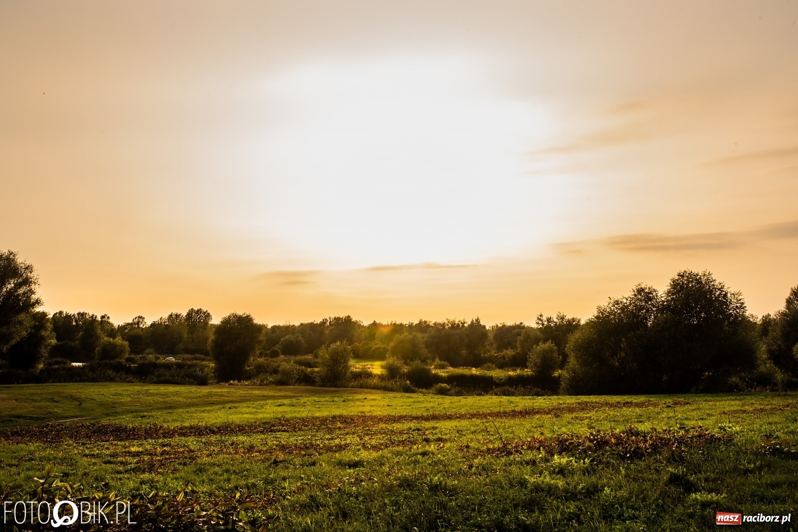 Zdjęcie w galerii na portalu naszraciborz.pl: Dziesięć lat temu powstał projekt zagospodarowania żwirowni na Ostrogu. Kosztem 23 mln zł miało tu powstać raciborskie Acapulco. Zobacz wizualizacje sprzed dekady wiadomości z regionu