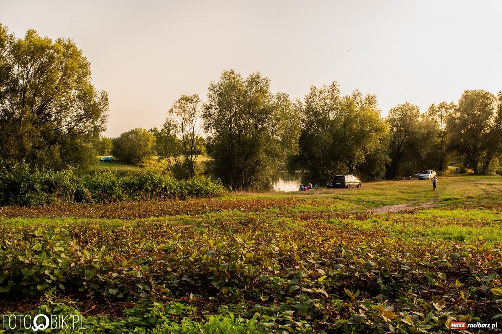 Zdjęcie w galerii na portalu naszraciborz.pl: Dziesięć lat temu powstał projekt zagospodarowania żwirowni na Ostrogu. Kosztem 23 mln zł miało tu powstać raciborskie Acapulco. Zobacz wizualizacje sprzed dekady wiadomości z regionu